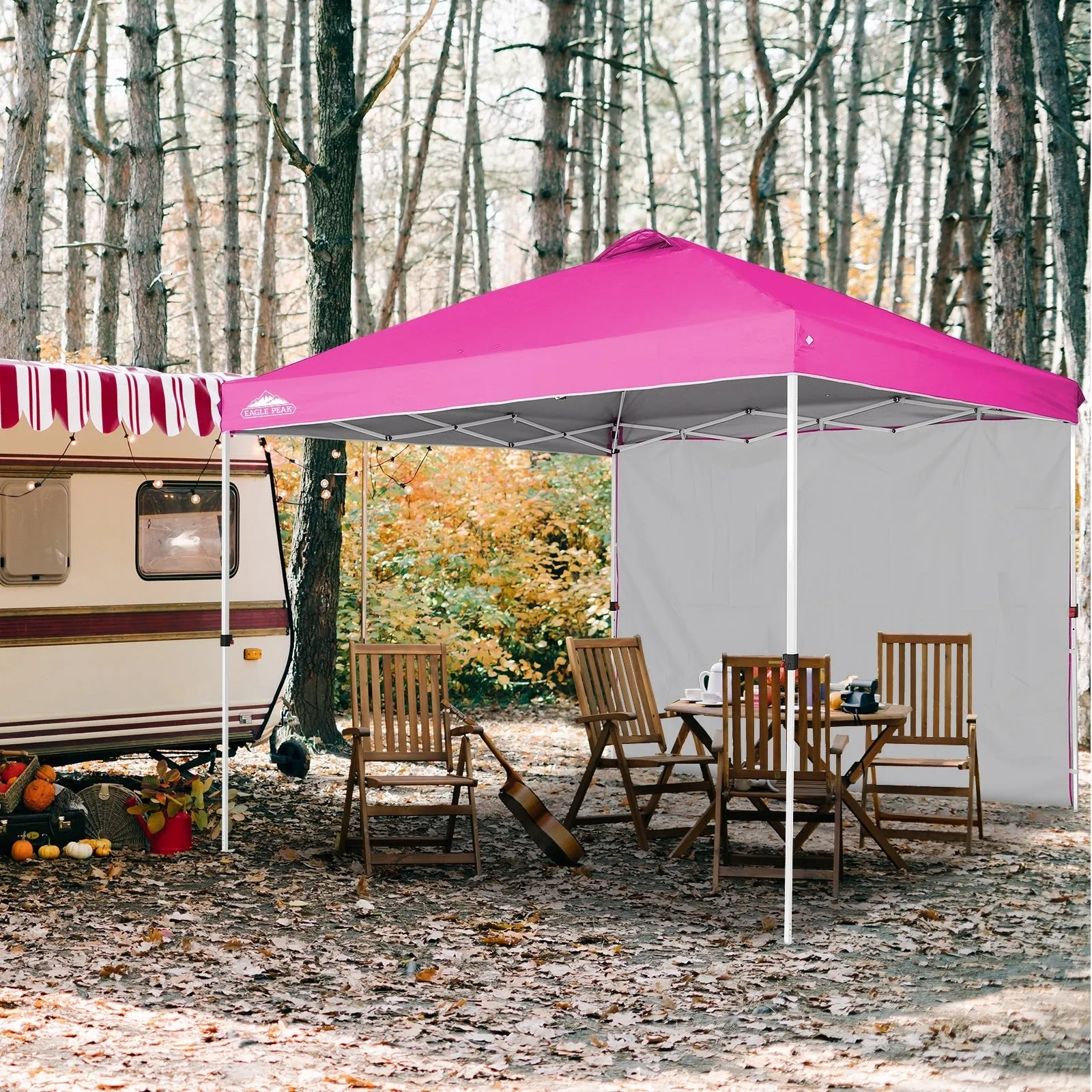 Canopy SunWall for E100 10x10 Straight Leg Pop Up Canopy, 1 Sidewall