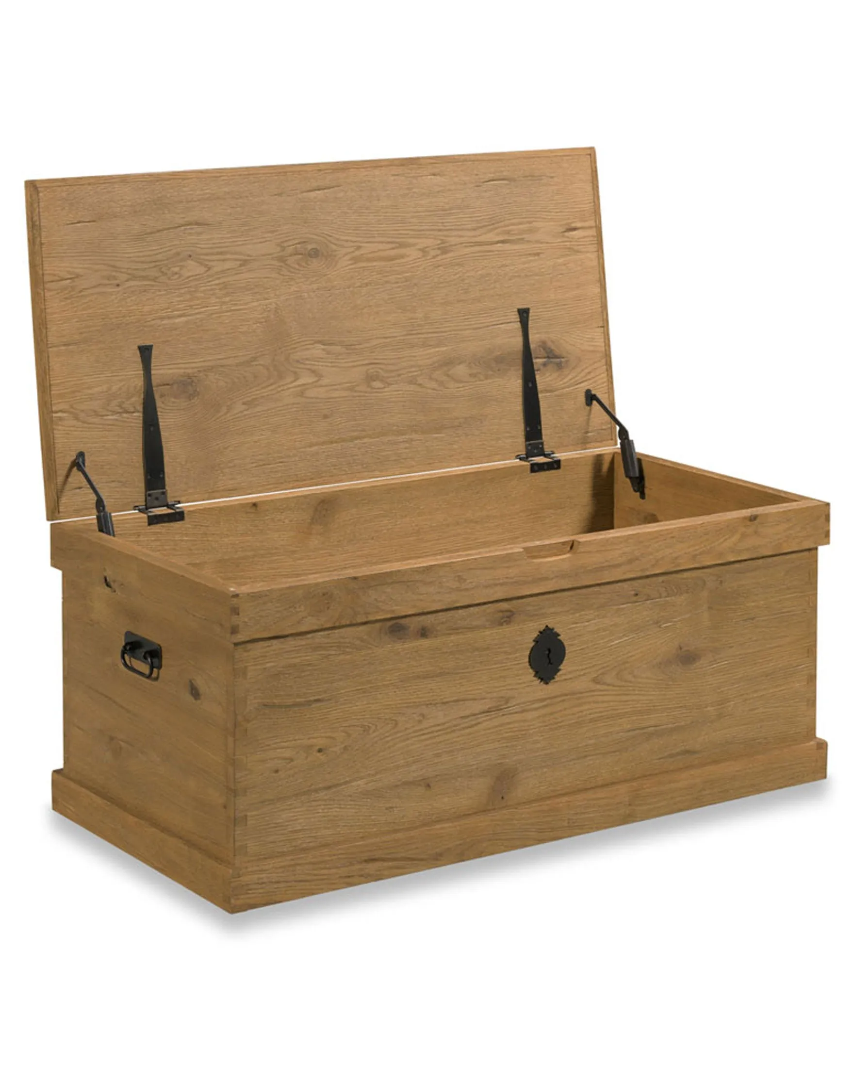 Chamberlain Storage Trunk